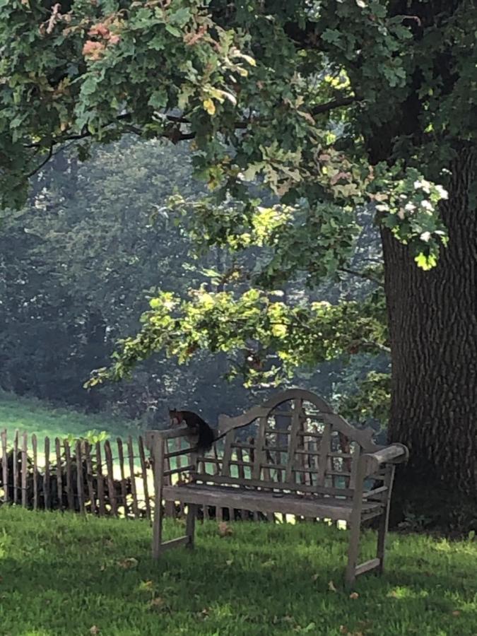 Gartenblick ไลค์ลิงเงน ภายนอก รูปภาพ