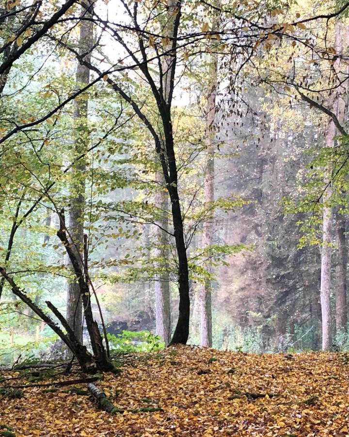 Gartenblick ไลค์ลิงเงน ภายนอก รูปภาพ