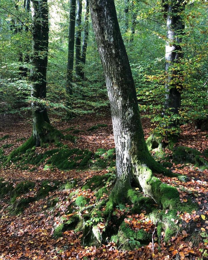Gartenblick ไลค์ลิงเงน ภายนอก รูปภาพ