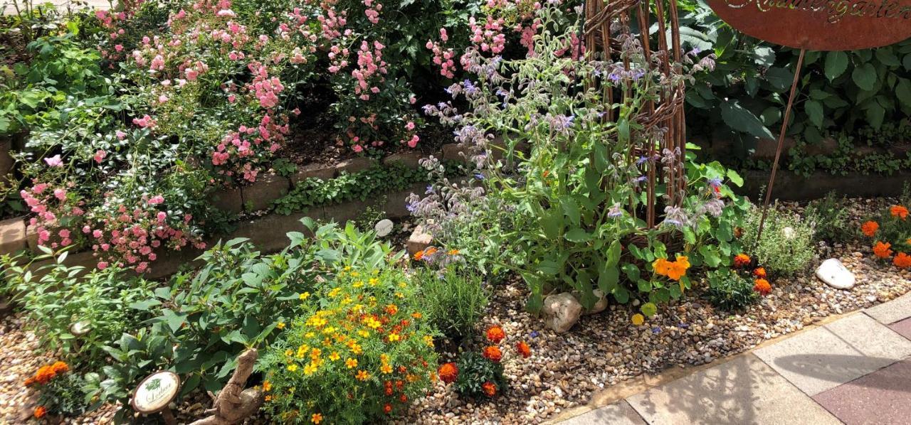 Gartenblick ไลค์ลิงเงน ภายนอก รูปภาพ