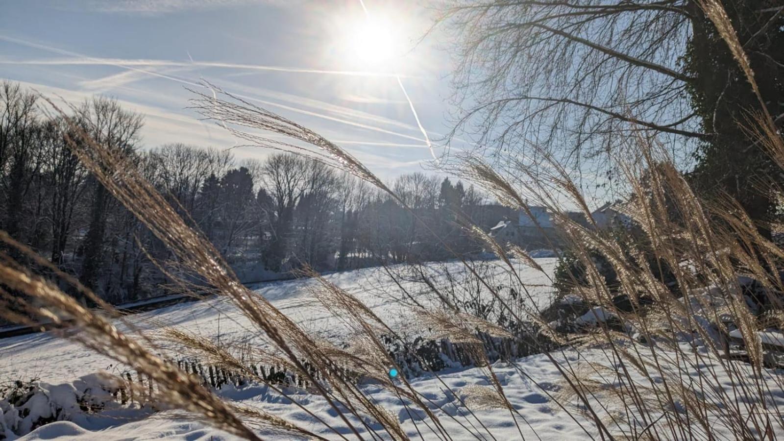 Gartenblick ไลค์ลิงเงน ภายนอก รูปภาพ