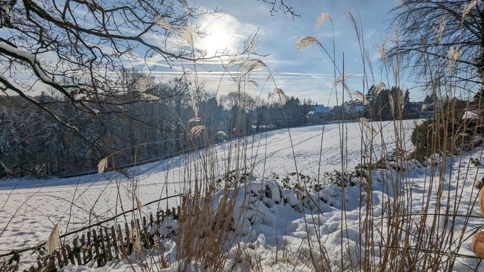 Gartenblick ไลค์ลิงเงน ภายนอก รูปภาพ