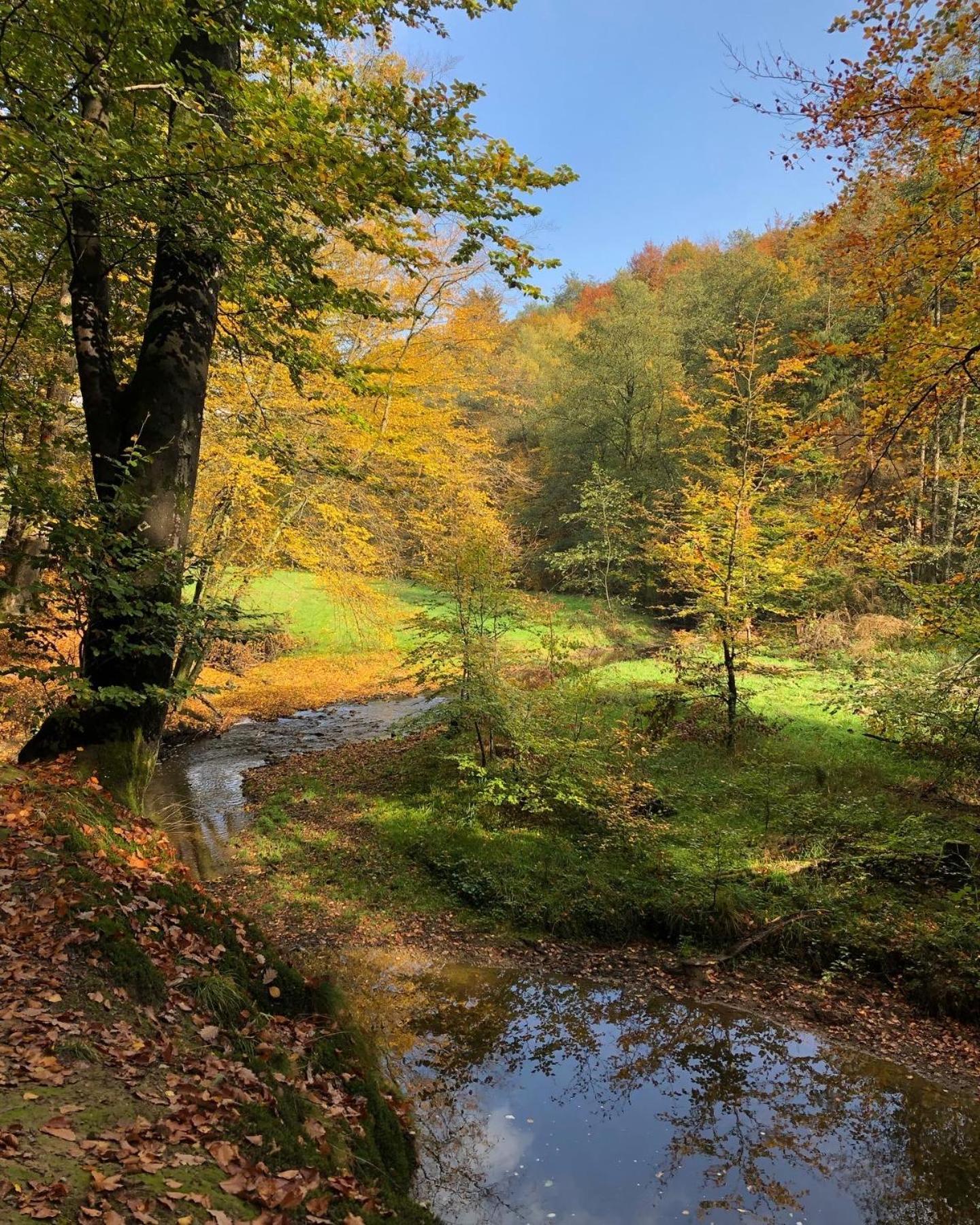Gartenblick ไลค์ลิงเงน ภายนอก รูปภาพ